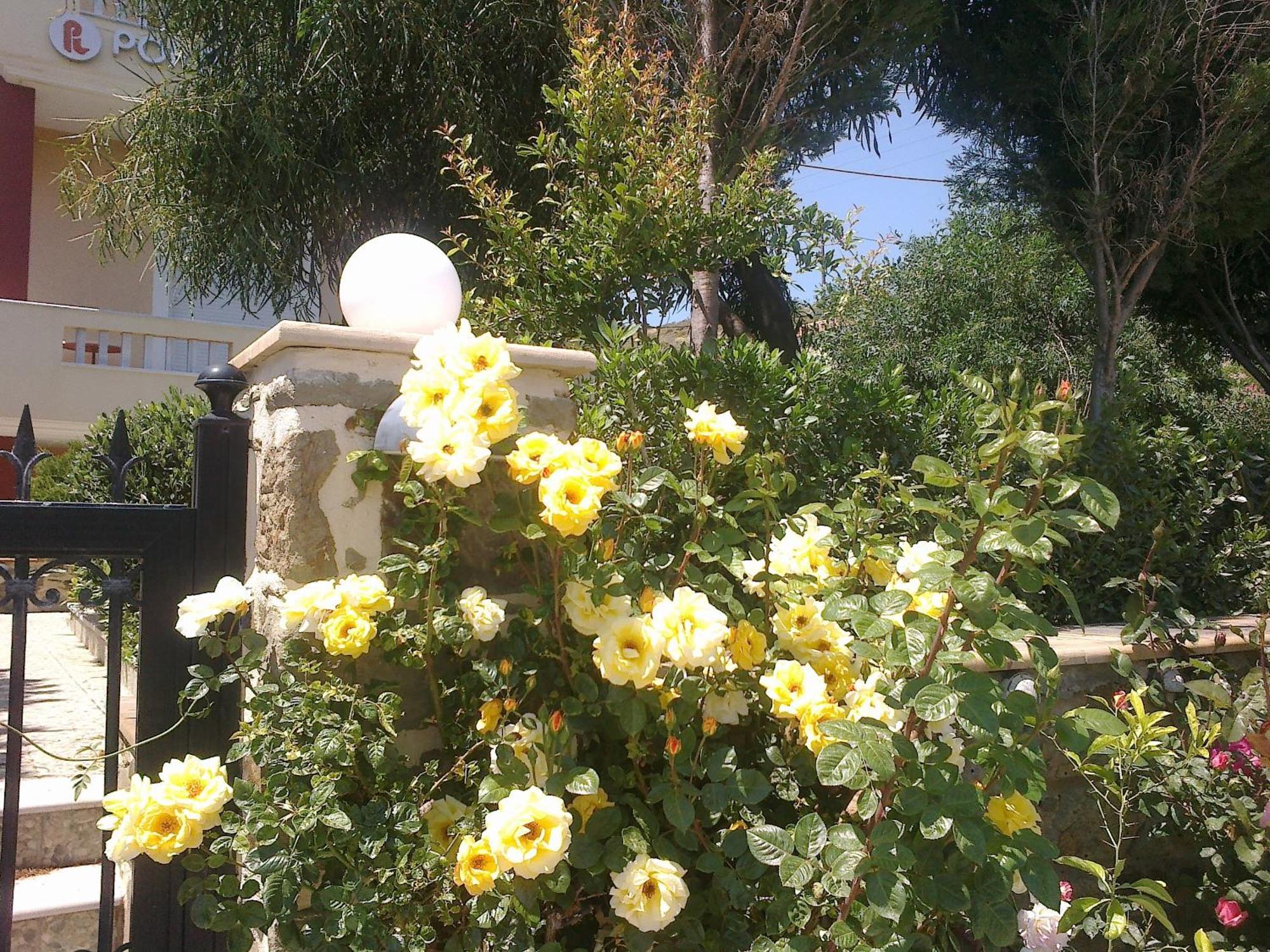 דירות Volissos Porto Limnia מראה חיצוני תמונה
